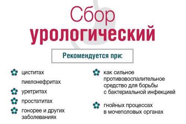 Что входит в урологический сбор трав